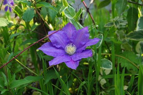 c0056707_8371257.jpg