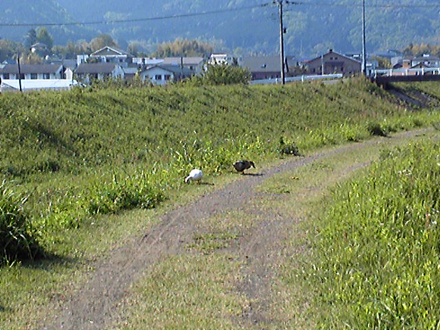e0015108_13122077.jpg