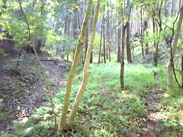 e0015108_13628100.jpg