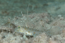 b0155916_2251571.jpg