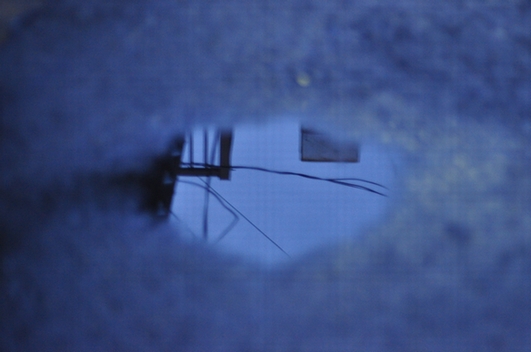 c0116216_1475595.jpg