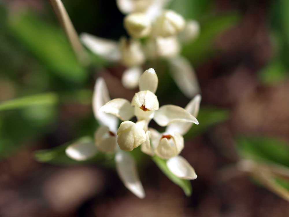 c0145418_203456.jpg