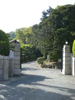 d0072318_231583.jpg
