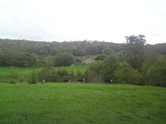 d0092518_359310.jpg