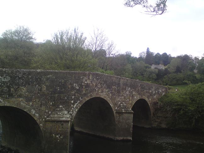 d0092518_40971.jpg