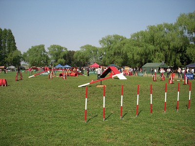 e0121418_21354515.jpg