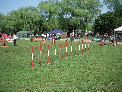 e0121418_21355754.jpg