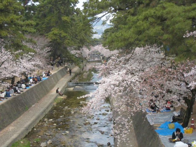 c0060920_23471725.jpg