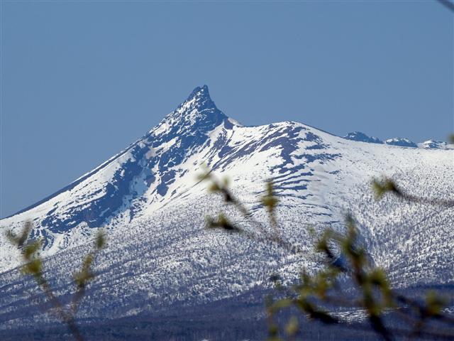b0171523_2083651.jpg