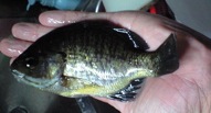 e0002927_22391698.jpg
