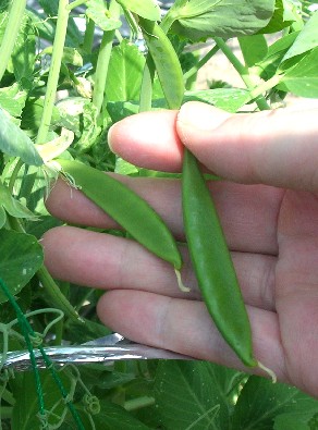 f0150629_2285635.jpg