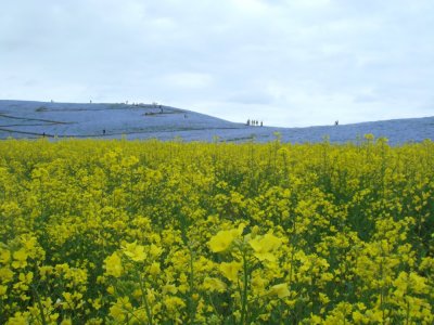 c0025938_22185014.jpg