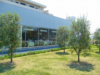 f0130642_16514170.jpg