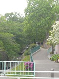 f0169942_19105591.jpg