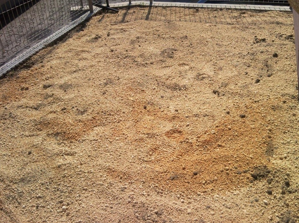 e0150843_20453372.jpg