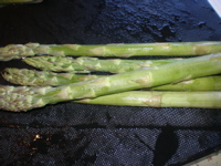c0153444_1133611.jpg