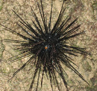 f0143445_12151922.jpg