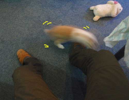 a0095546_2031336.jpg