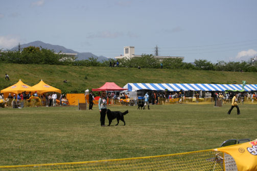 b0143546_20133798.jpg