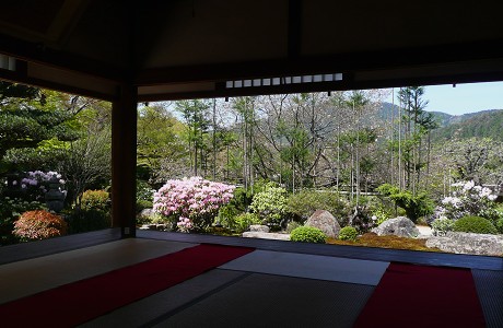 c0057946_22443226.jpg