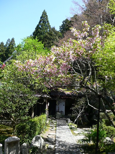 c0057946_22453576.jpg