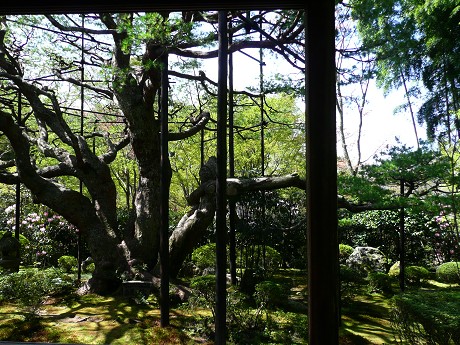 c0057946_22471667.jpg