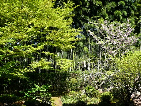 c0057946_22481514.jpg