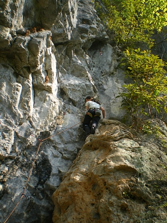 c0042847_10524262.jpg