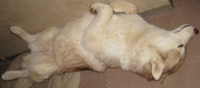 e0121548_2104365.jpg