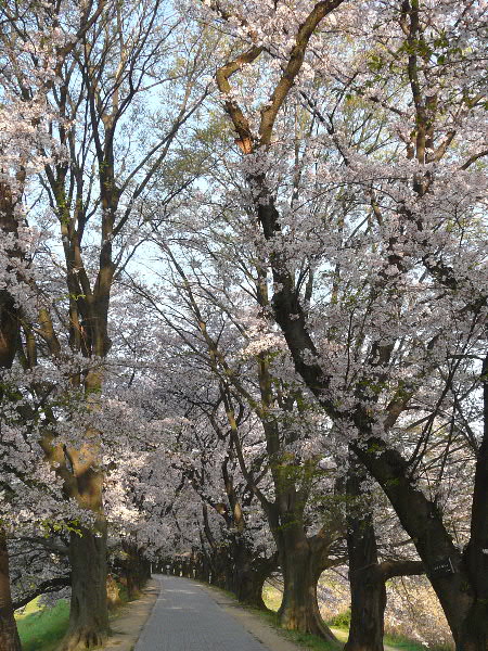 e0017051_859510.jpg