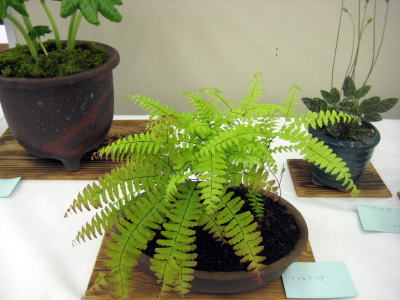c0147952_15431172.jpg