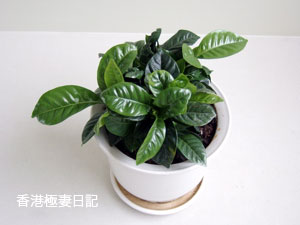 f0190653_14543721.jpg