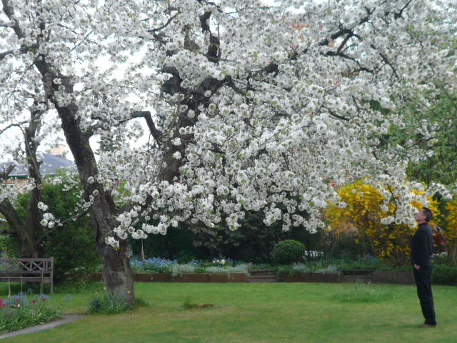 b0109054_5334576.jpg