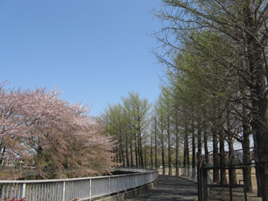 e0098256_1128697.jpg