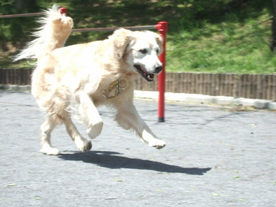 c0097558_1264696.jpg