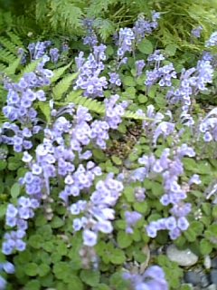 d0034659_2215839.jpg