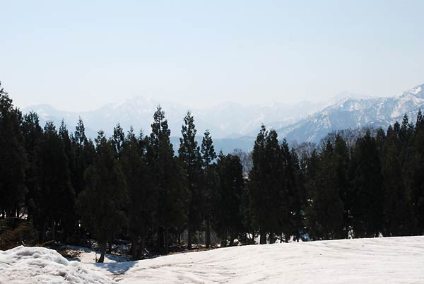 c0043361_2312492.jpg