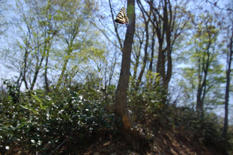 c0043361_2323258.jpg