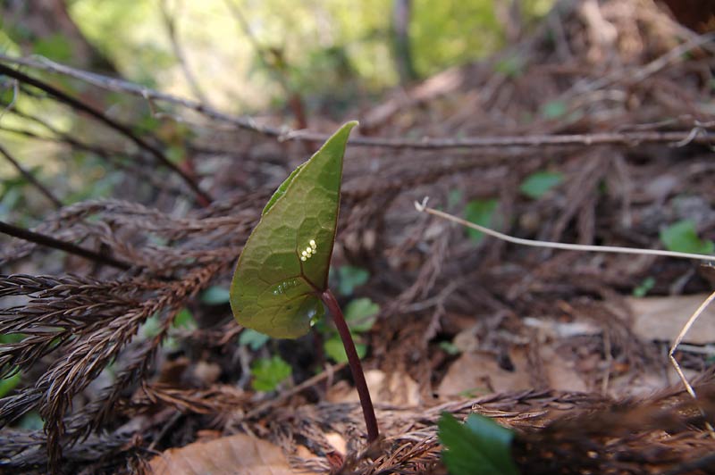 c0043361_23573926.jpg