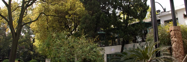 c0062361_21373091.jpg
