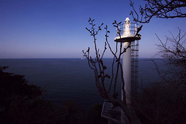e0067463_441212.jpg