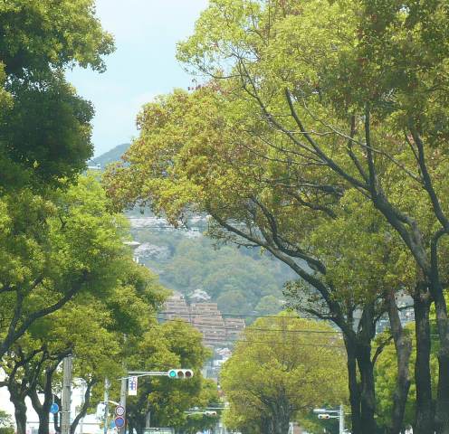 a0063364_23151910.jpg