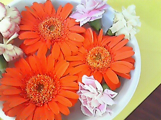 c0112264_92784.jpg