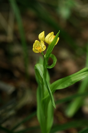 e0054067_21213482.jpg