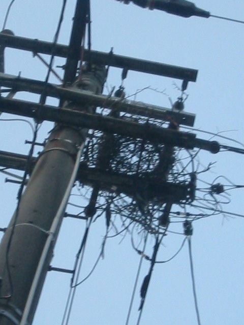 d0094868_1925158.jpg