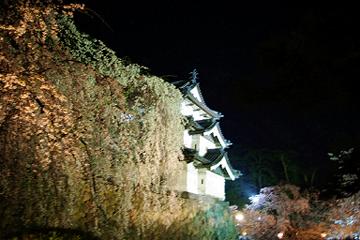 d0131668_18354993.jpg