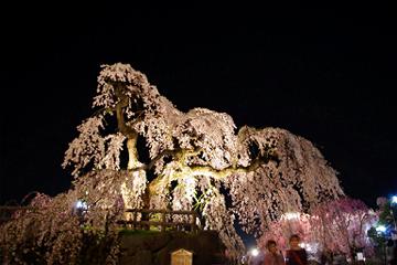 d0131668_183645.jpg
