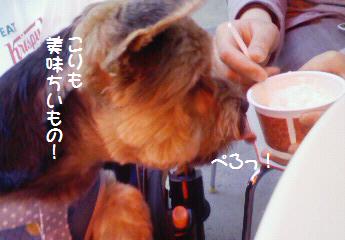 a0105570_22532134.jpg
