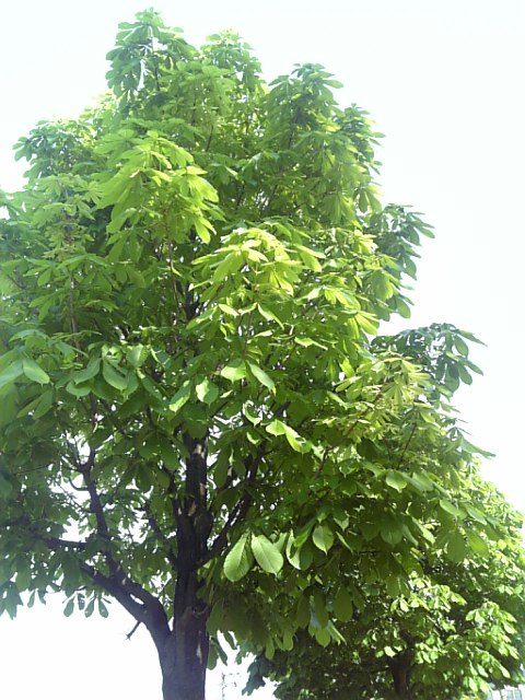 f0177670_2048182.jpg