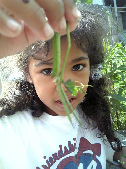 f0177670_20504597.jpg